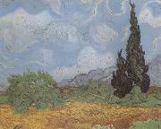 Vincent Van Gogh Wheat Field with Cypresses (nn04) Spain oil painting artist